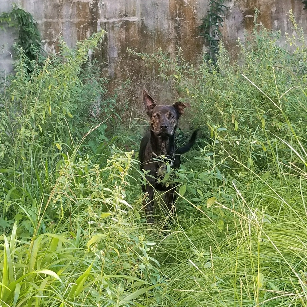 Meet your Posher, Liam